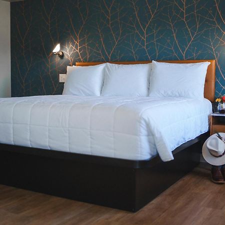 City Center Motel Hamilton Extérieur photo