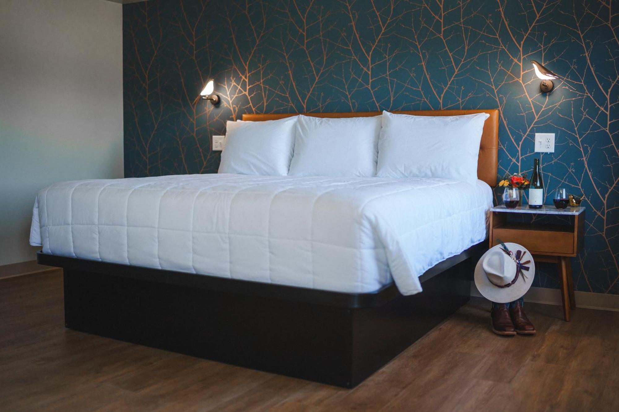 City Center Motel Hamilton Extérieur photo